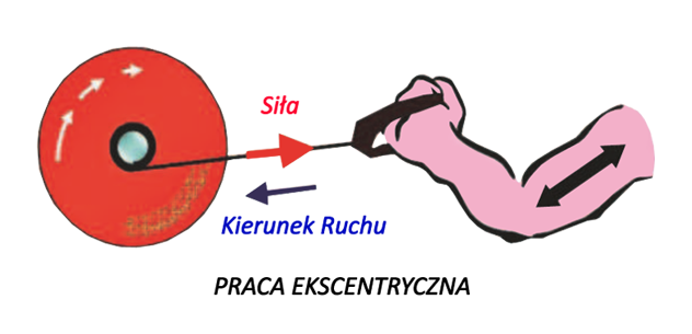 Praca ekscentryczna