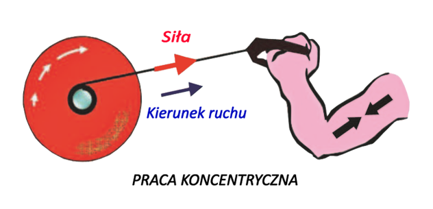 Praca koncentryczna